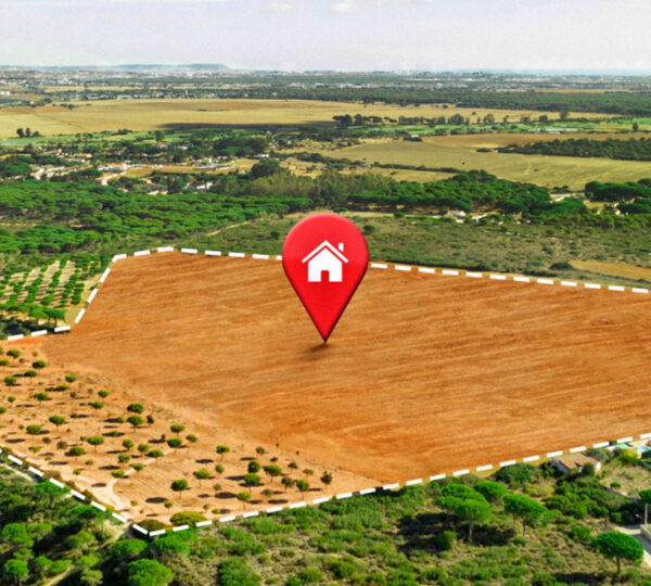 IMMOBILIER