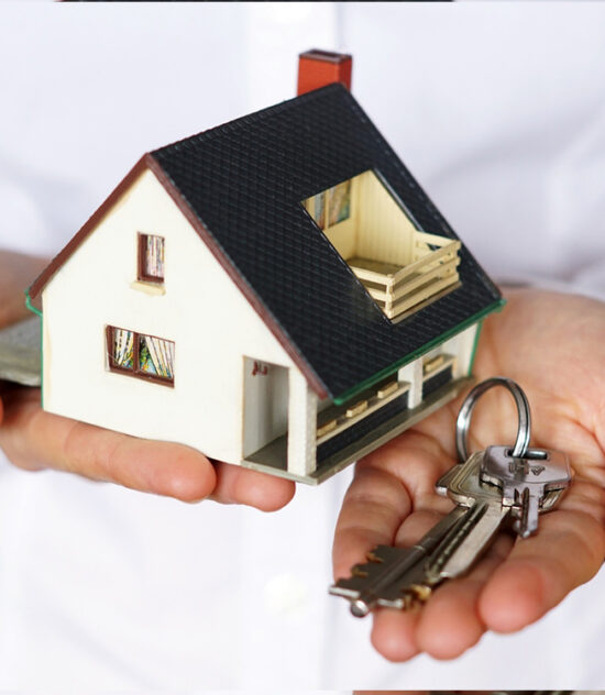IMMOBILIER 
